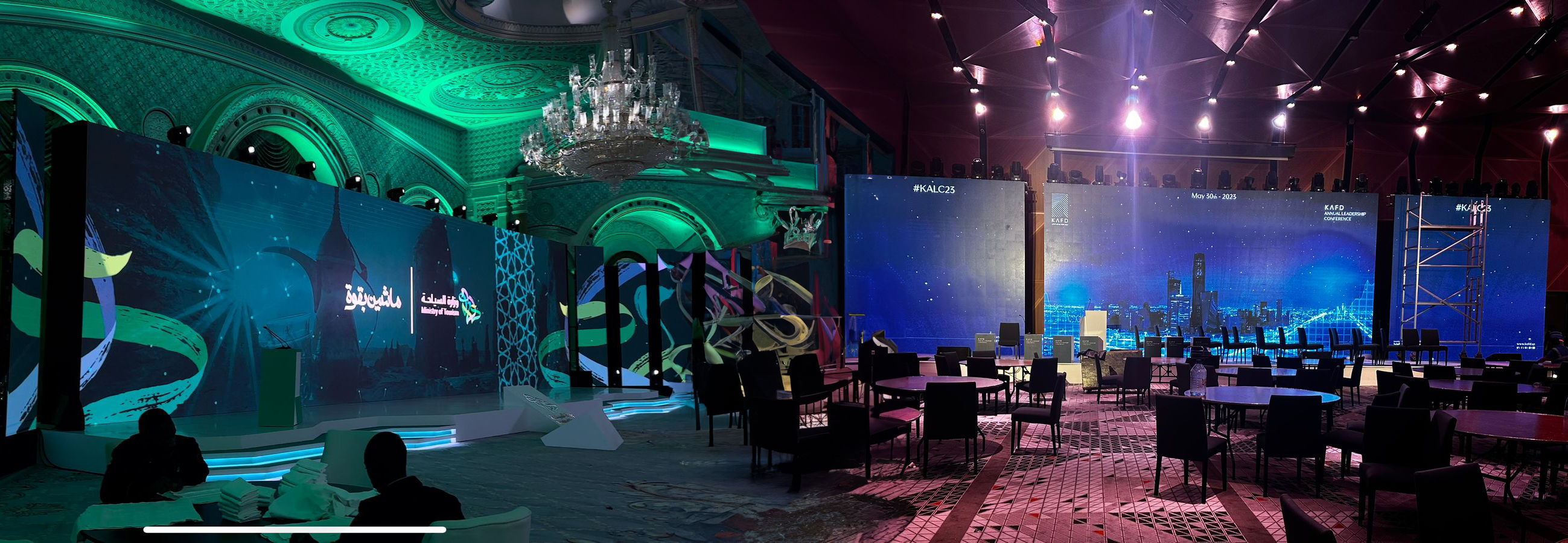 animation and motiont cat